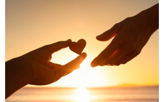 財團法人采盟慈善基金會 113年度接受捐贈名單清冊