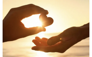 財團法人采盟慈善基金會 113年度捐贈名單清冊